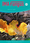 IMA Fungus雜志封面